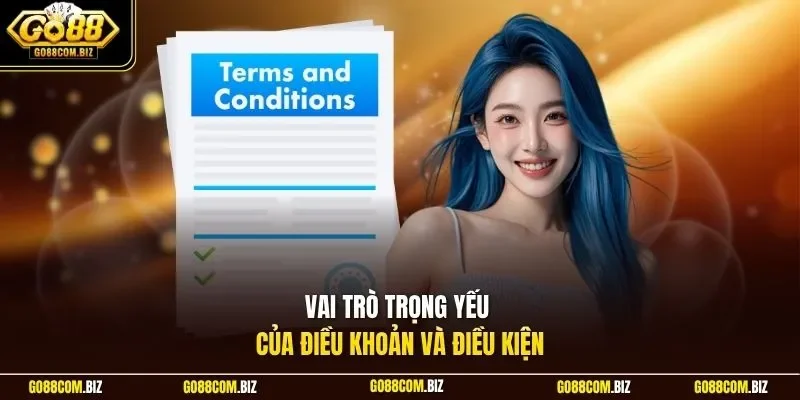 Vai trò trọng yếu của điều khoản và điều kiện